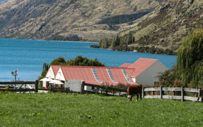 Destinos de Filme: Conheça 12 Lugares Icônicos que Foram Cenários de Grandes Produções