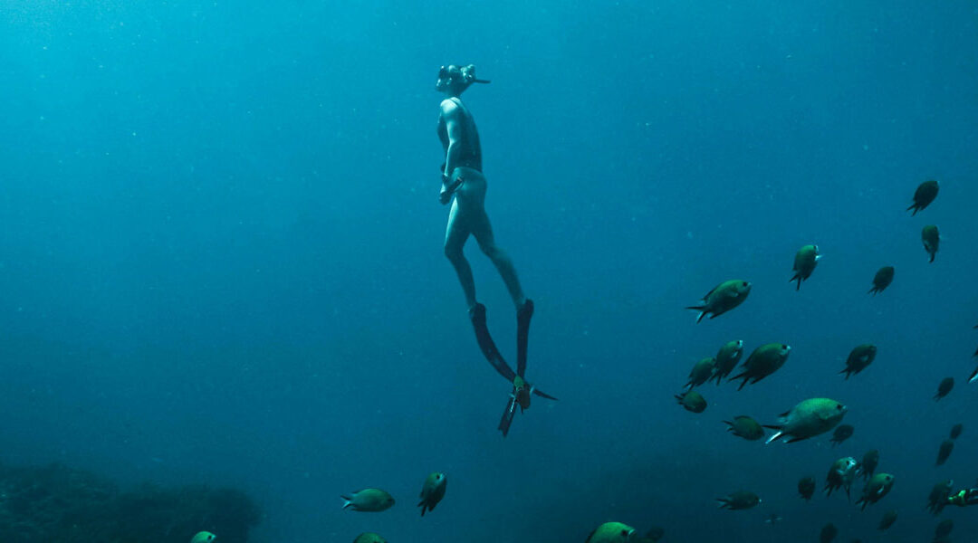 Os 10 Melhores Lugares para Mergulho no Brasil