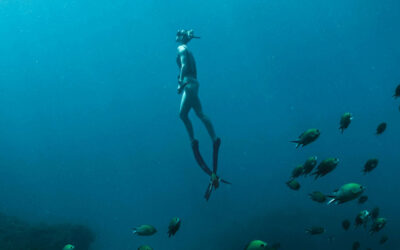 Os 10 Melhores Lugares para Mergulho no Brasil